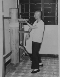 Swiss Wing Chun Sammo Kwoon Sifu Ip Man Mannequin Bois