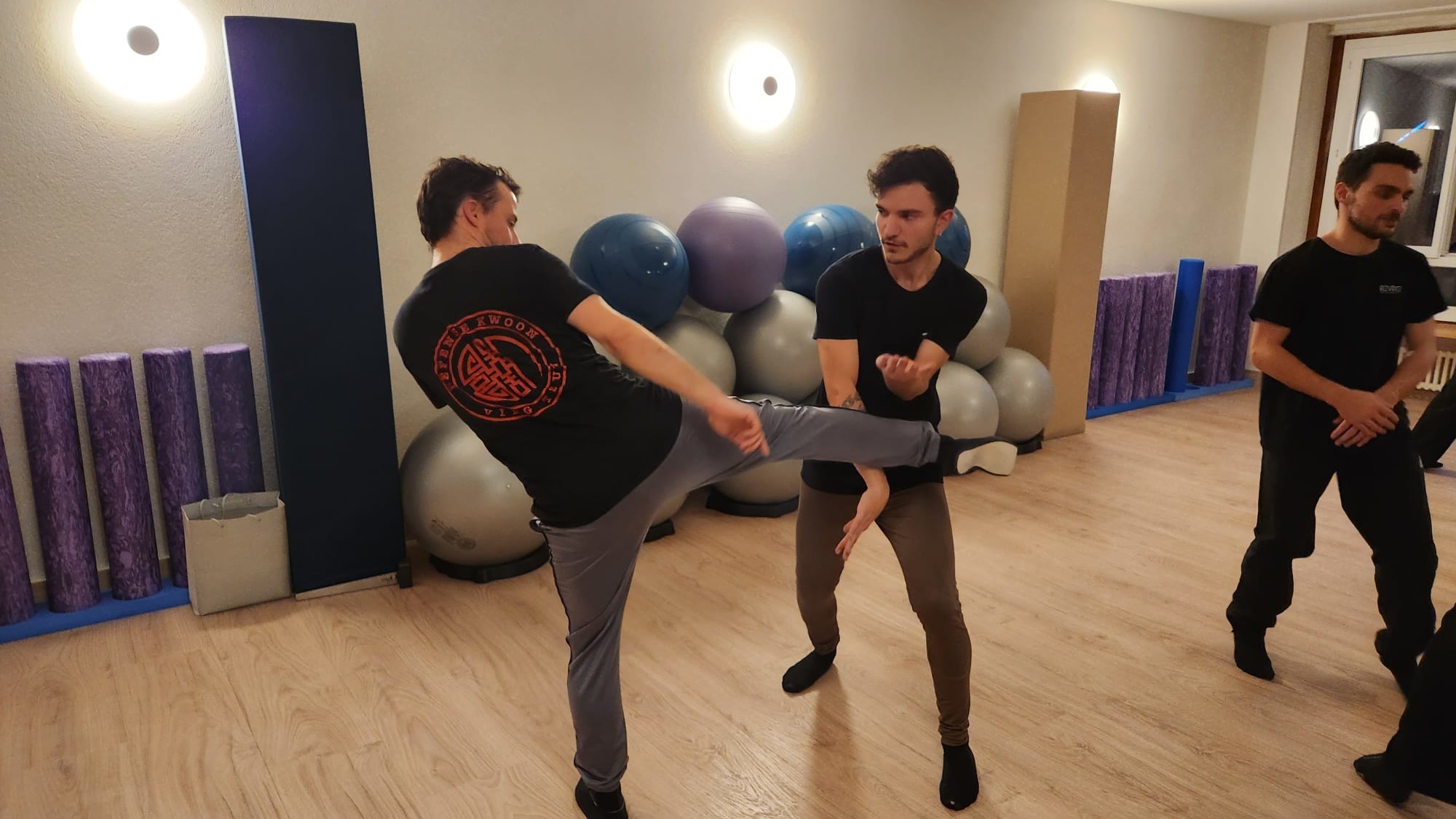 Wing Chun Kung Fu Lausanne Suisse Ving Tsun - Blocage Middle Kick