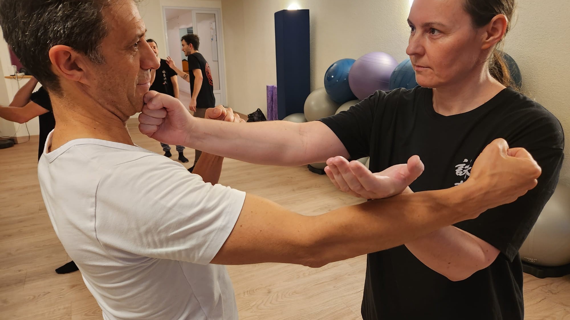 Wing Chun Kung Fu Lausanne Suisse Ving Tsun - Tan Kuen